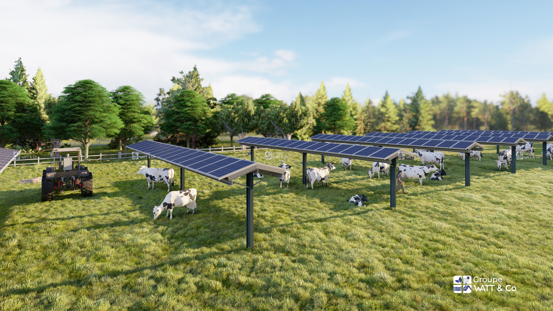 Panneaux photovoltaïques au sol