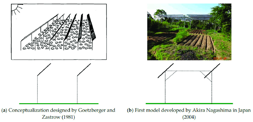 First-models-of-agrivoltaic-systems-co-located-agriculture-and-solar-photovoltaic-APV