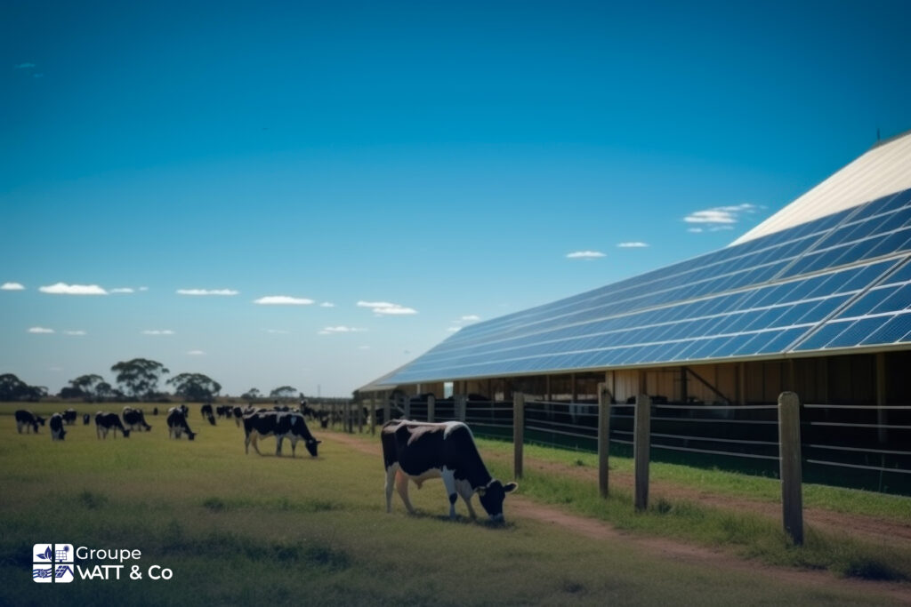 Agrivoltaïsme