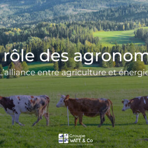 Visuel sur le rôle des agronomes