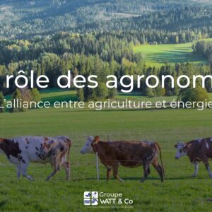 Visuel sur le rôle des agronomes