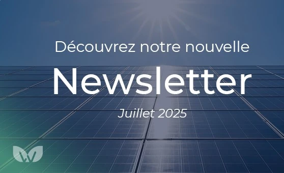 Newsletter Watt&Co - Juillet 2025