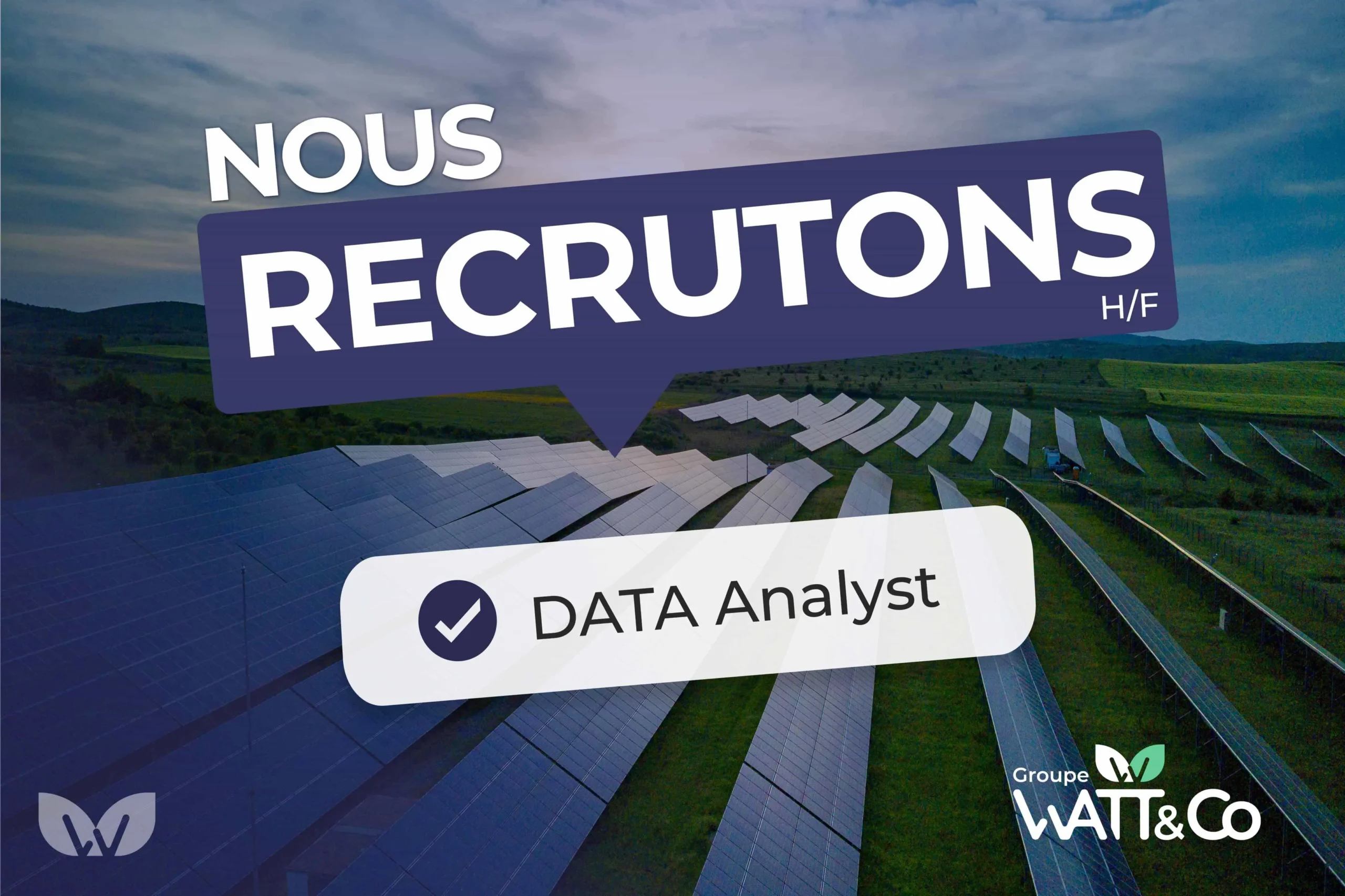 Data Analyst chez Watt & Co utilisant des graphiques et des données pour optimiser la prise de décision.