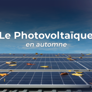 miniature_article_pv_automne (1) Photovoltaïque et automne : entre transition, idées reçues et enjeux